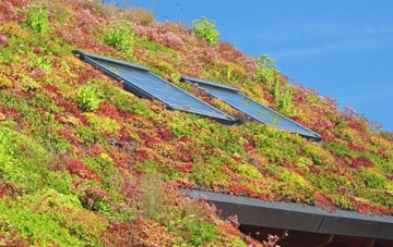Brightwalton Green living roof systems
